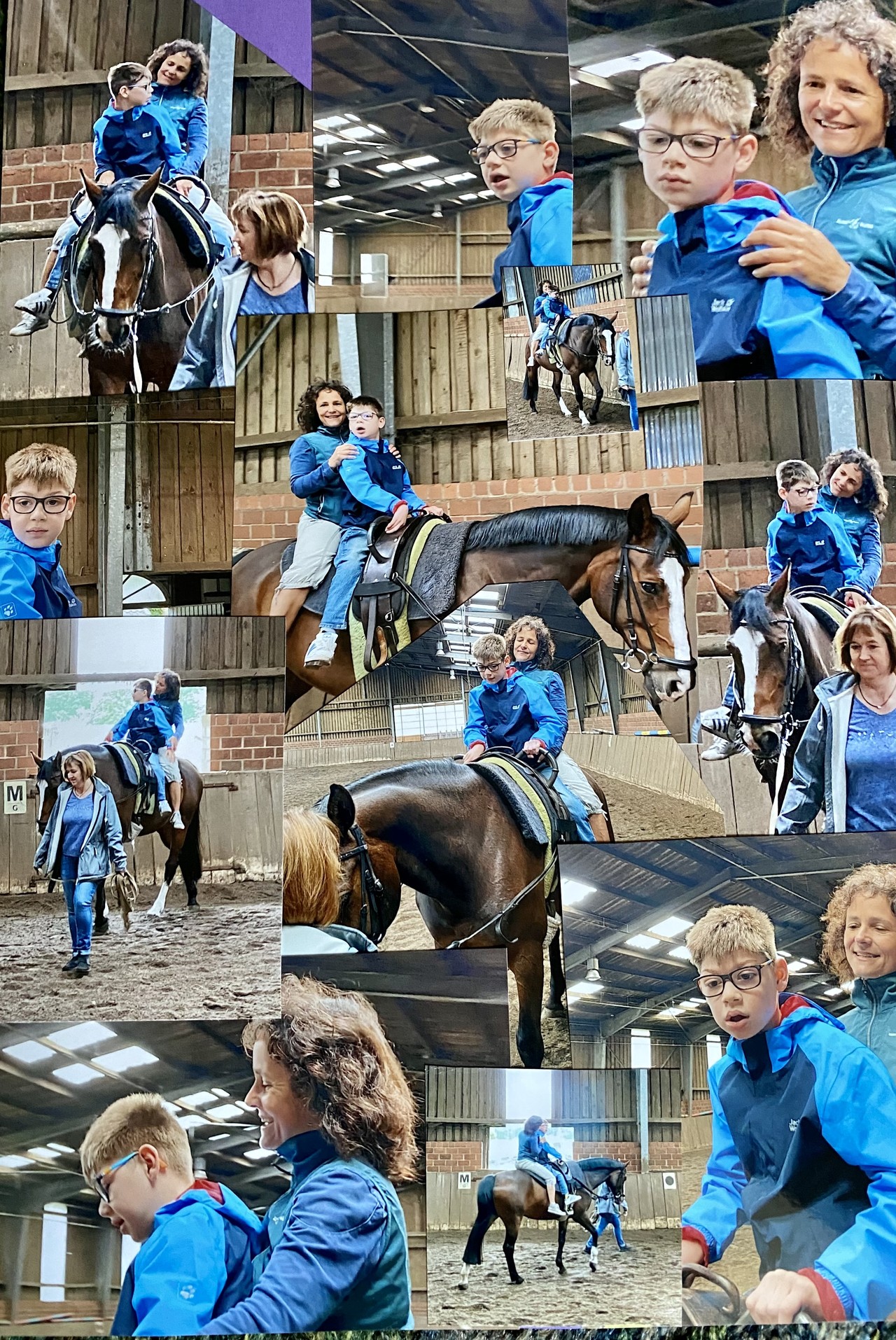Reiten 3