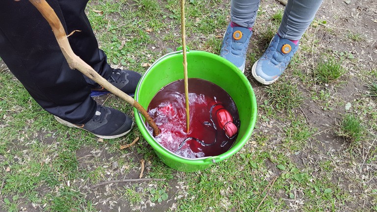 Färben 1