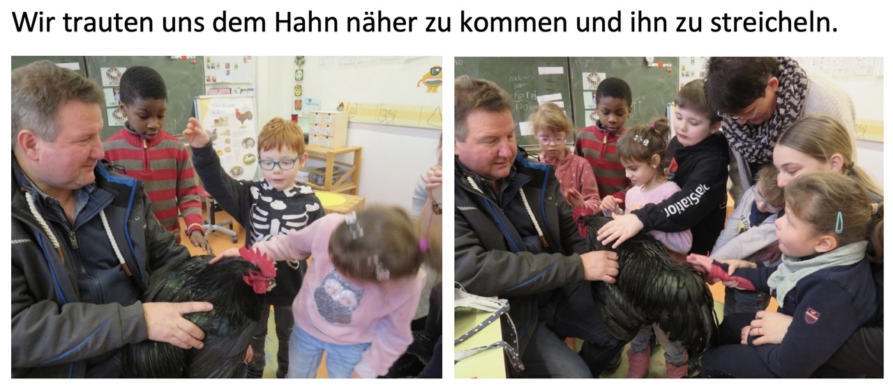 Ei 8