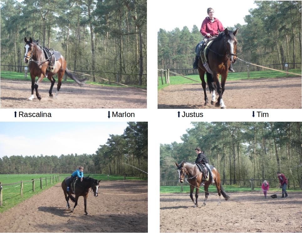 Heilpädagogisches Voltigieren/Reiten