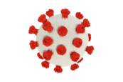 Corona