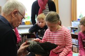 Huhn streicheln