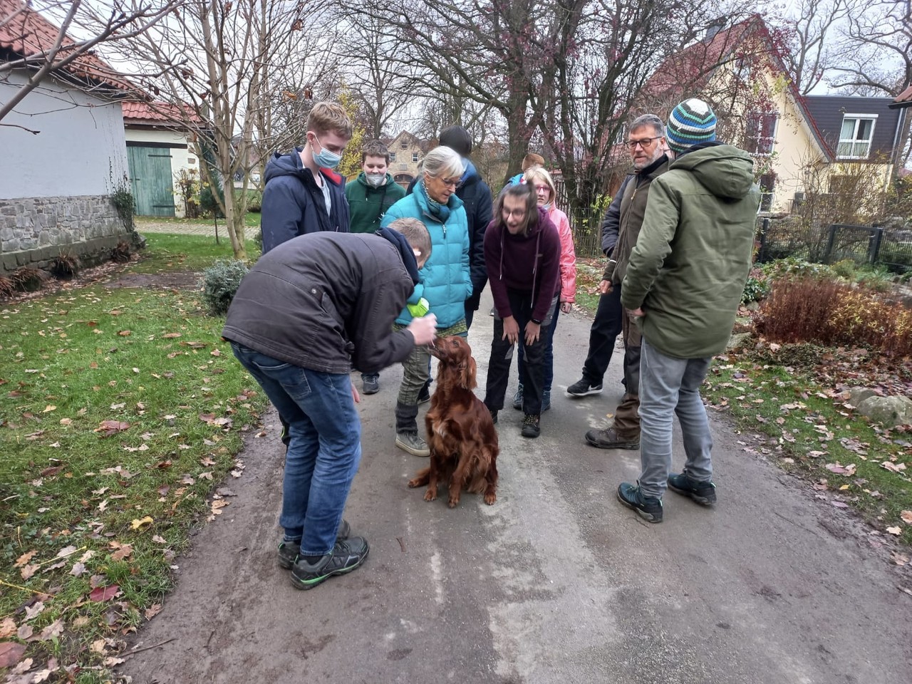 Herr Tiemeyers Hunde